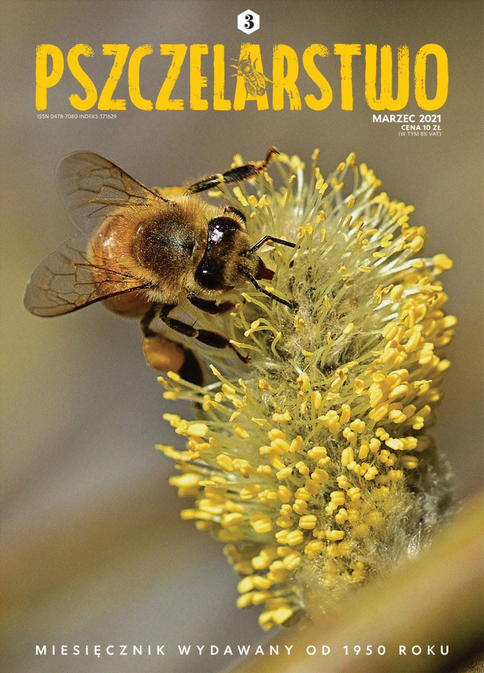 Miesięcznik Pszczelarstwo - Marzec 2021