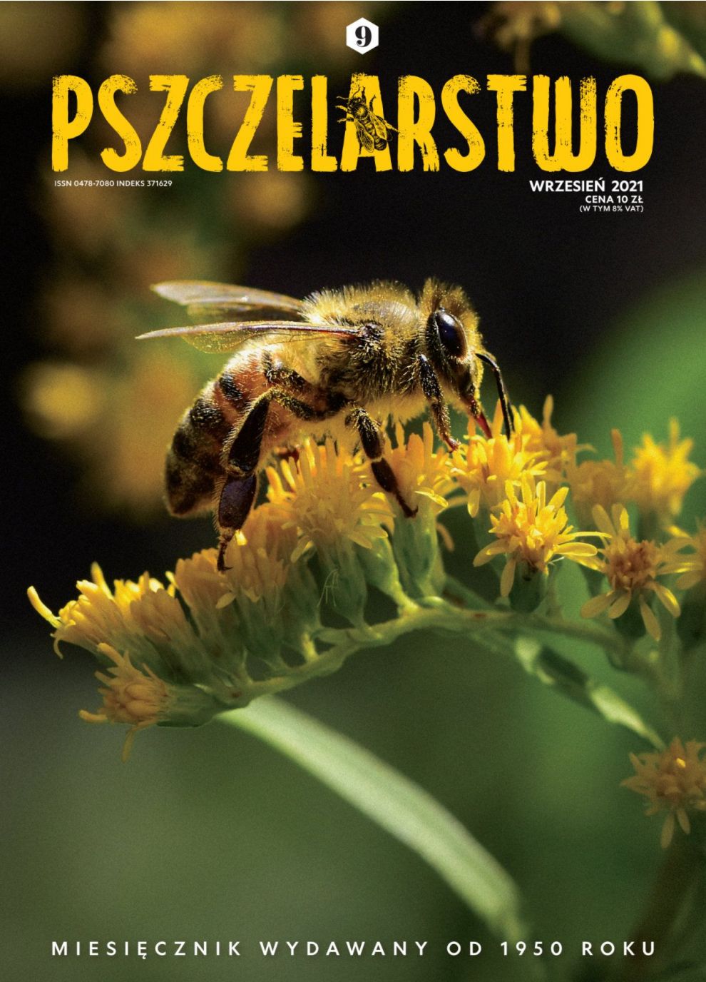 Miesięcznik Pszczelarstwo - Wrzesień 2021