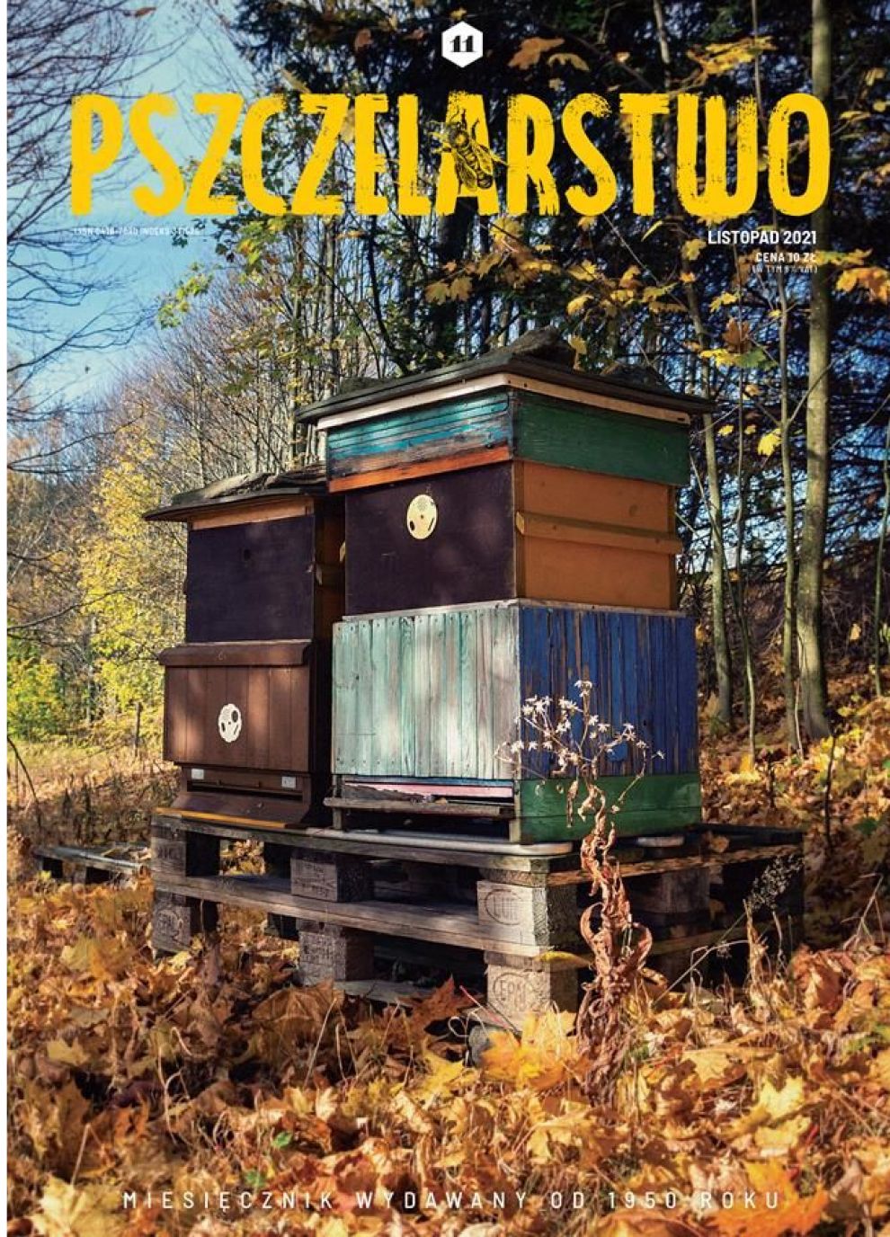 Miesięcznik Pszczelarstwo - Listopad 2021