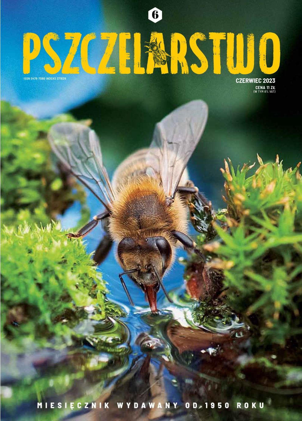 Miesięcznik Pszczelarstwo - Czerwiec 2023