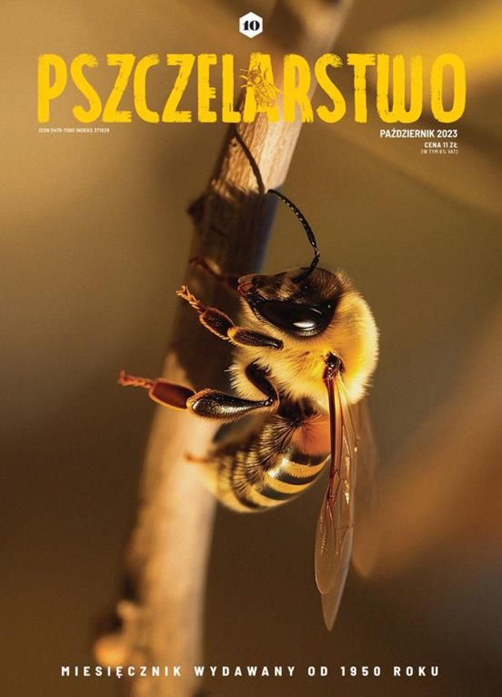 Miesięcznik Pszczelarstwo - Październik 2023